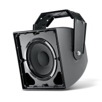 Spatially Cued Surround Loudspeaker2-Way Coaxial With 8" LF