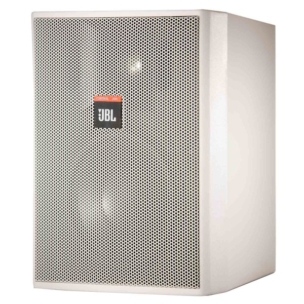 Indoor Outdoor Background Loudspeaker