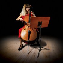 Music Stand With Wide Rosewood Bookplate
