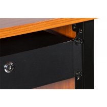 2U Locking Rack Drawer (Shallow)