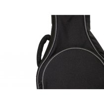 Weather-resistant Mandolin Bag
